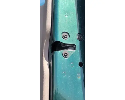 FREIGHTLINER Cascadia 125 Door Assembly, Front
