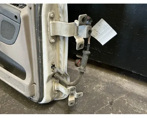 FREIGHTLINER Cascadia 125 Door Assembly, Front