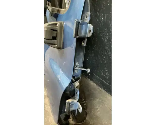 FREIGHTLINER Cascadia 125 Door Assembly, Front