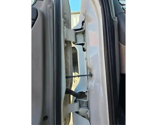 FREIGHTLINER Cascadia 125 Door Assembly, Front