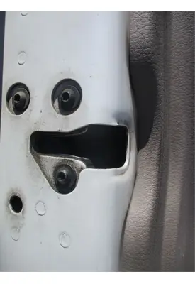 FREIGHTLINER Cascadia 125 Door Assembly, Front