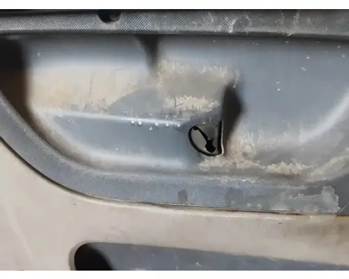 FREIGHTLINER Cascadia 125 Door Assembly, Front