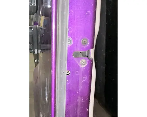 FREIGHTLINER Cascadia 125 Door Assembly, Front