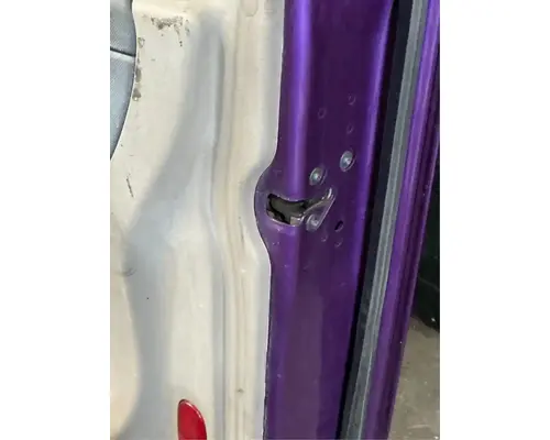 FREIGHTLINER Cascadia 125 Door Assembly, Front