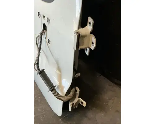 FREIGHTLINER Cascadia 125 Door Assembly, Front