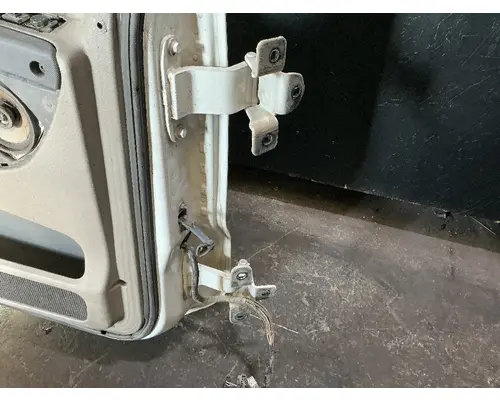 FREIGHTLINER Cascadia 125 Door Assembly, Front