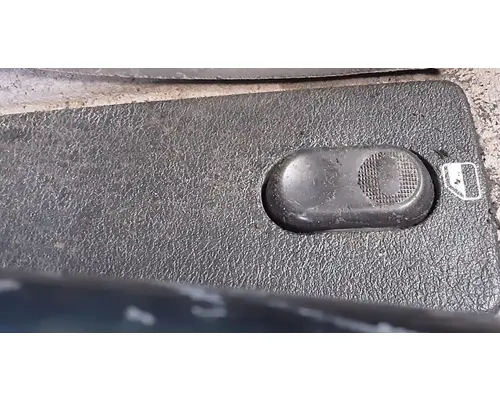 FREIGHTLINER Cascadia 125 Door Assembly, Front