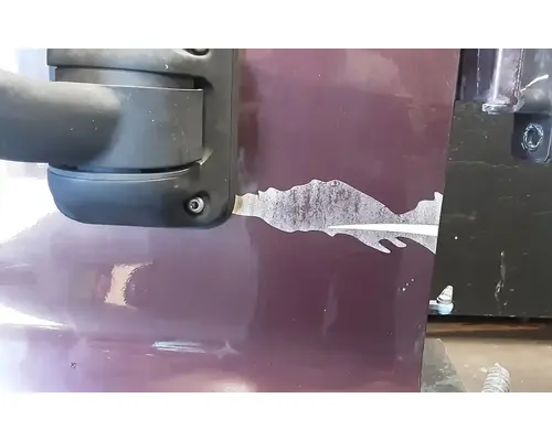 FREIGHTLINER Cascadia 125 Door Assembly, Front