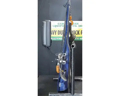 FREIGHTLINER Cascadia 125 Door Assembly, Front