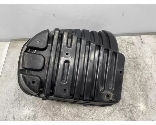 FREIGHTLINER Cascadia 125 Fender Extension