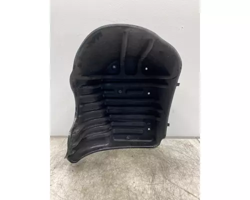FREIGHTLINER Cascadia 125 Fender Extension