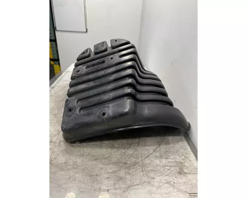 FREIGHTLINER Cascadia 125 Fender Extension