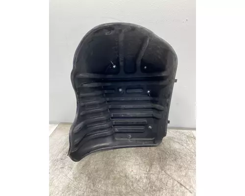 FREIGHTLINER Cascadia 125 Fender Extension