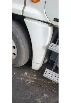 FREIGHTLINER Cascadia 125 Fender Extension