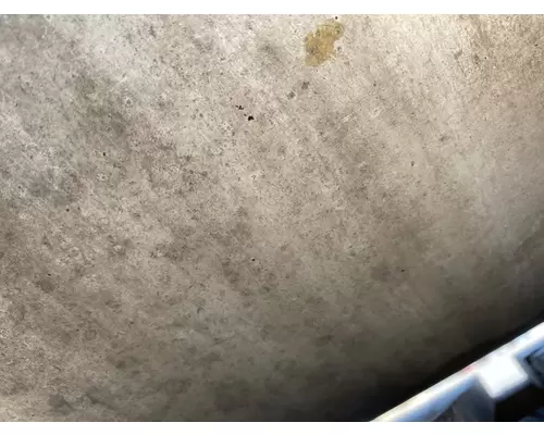 FREIGHTLINER Cascadia 125 Fuel Tank