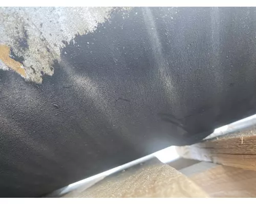 FREIGHTLINER Cascadia 125 Fuel Tank