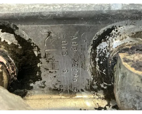 FREIGHTLINER Cascadia 125 Fuel Tank