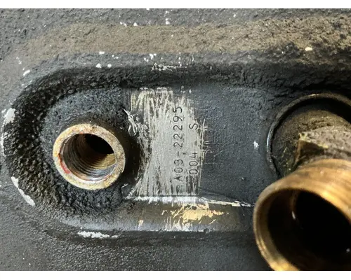 FREIGHTLINER Cascadia 125 Fuel Tank