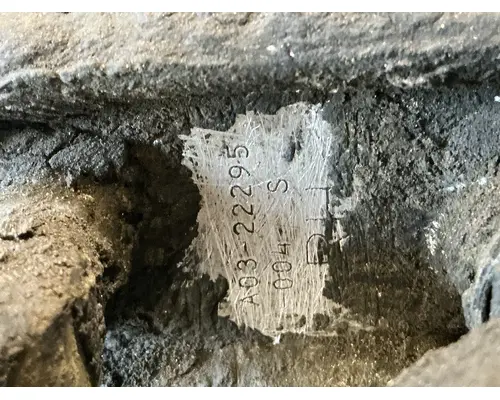 FREIGHTLINER Cascadia 125 Fuel Tank