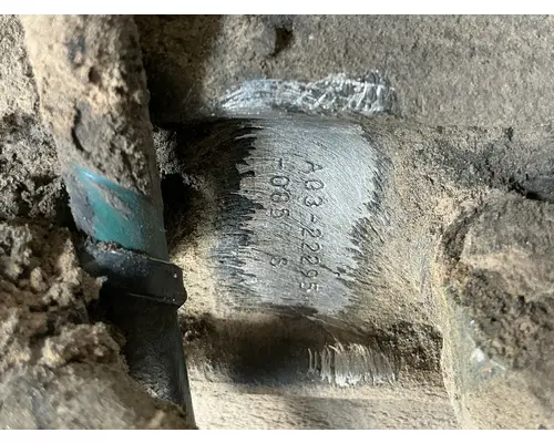 FREIGHTLINER Cascadia 125 Fuel Tank