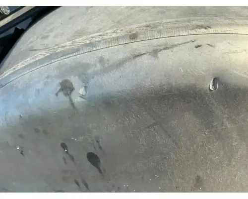 FREIGHTLINER Cascadia 125 Fuel Tank