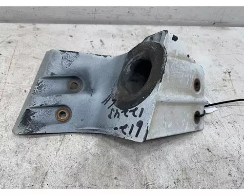 FREIGHTLINER Cascadia 125 Hood Hinge