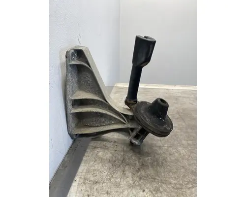 FREIGHTLINER Cascadia 125 Hood Hinge