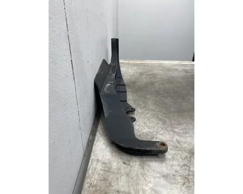 FREIGHTLINER Cascadia 125 Hood Hinge