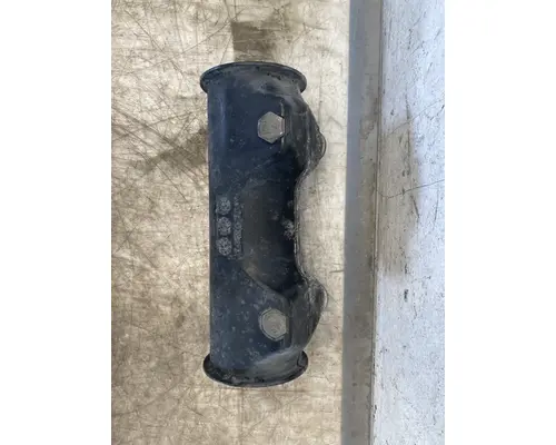 FREIGHTLINER Cascadia 125 Hood Hinge