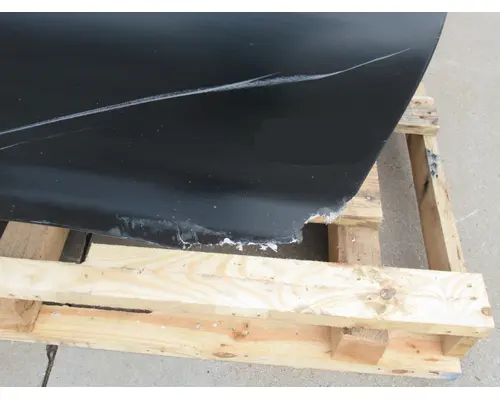 FREIGHTLINER Cascadia 125 Hood