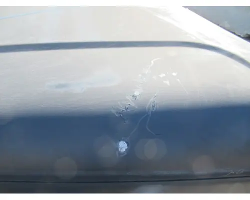 FREIGHTLINER Cascadia 125 Hood