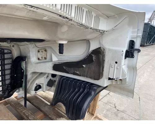 FREIGHTLINER Cascadia 125 Hood