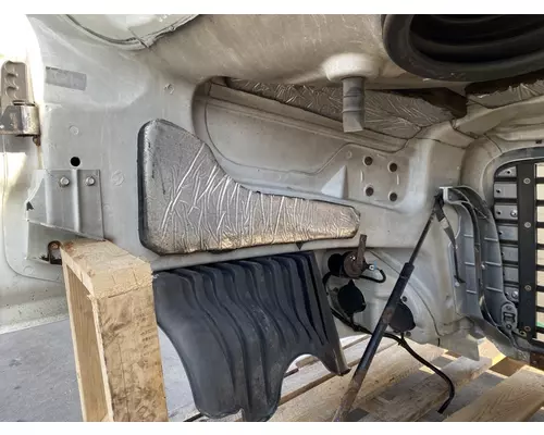 FREIGHTLINER Cascadia 125 Hood