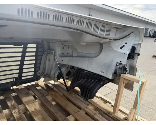 FREIGHTLINER Cascadia 125 Hood