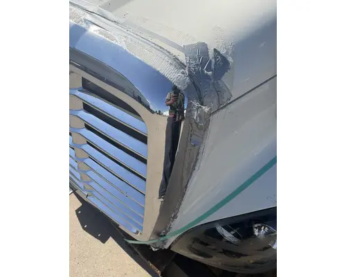 FREIGHTLINER Cascadia 125 Hood
