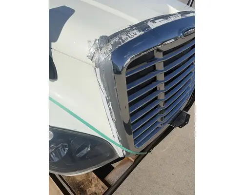 FREIGHTLINER Cascadia 125 Hood