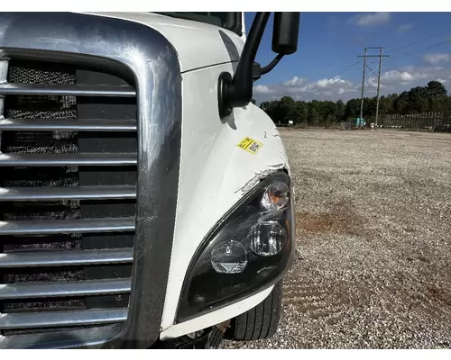 FREIGHTLINER Cascadia 125 Hood