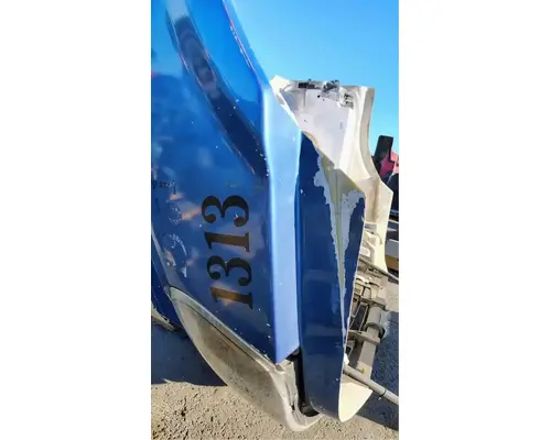 FREIGHTLINER Cascadia 125 Hood