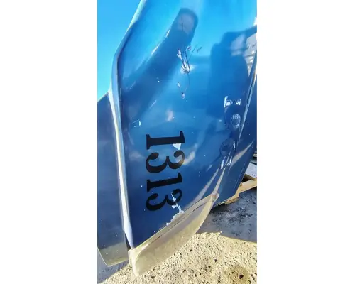 FREIGHTLINER Cascadia 125 Hood