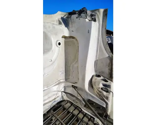 FREIGHTLINER Cascadia 125 Hood