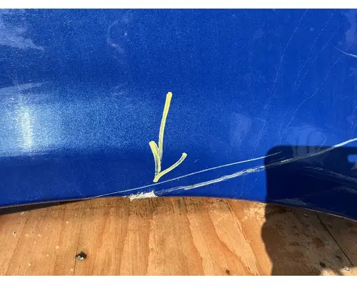 FREIGHTLINER Cascadia 125 Hood