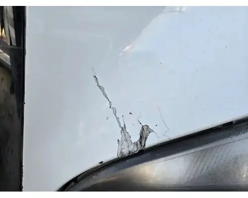 FREIGHTLINER Cascadia 125 Hood