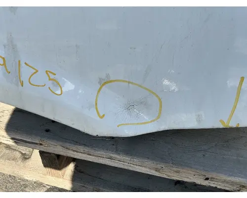 FREIGHTLINER Cascadia 125 Hood