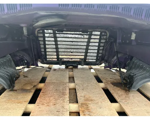 FREIGHTLINER Cascadia 125 Hood