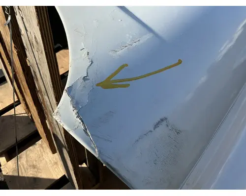 FREIGHTLINER Cascadia 125 Hood
