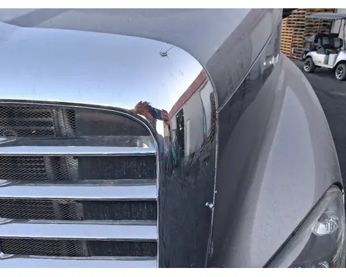 FREIGHTLINER Cascadia 125 Hood