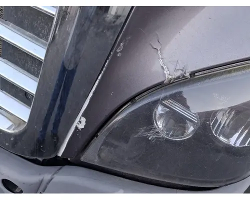 FREIGHTLINER Cascadia 125 Hood