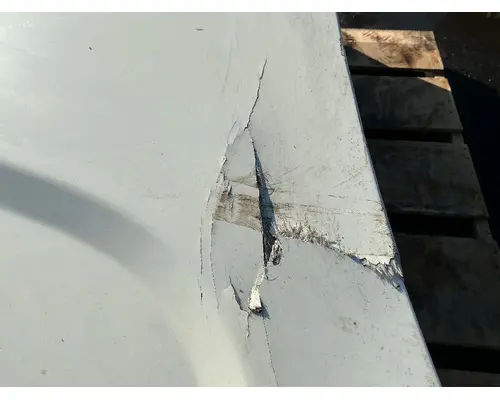 FREIGHTLINER Cascadia 125 Hood