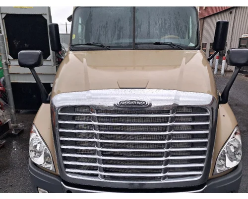 FREIGHTLINER Cascadia 125 Hood