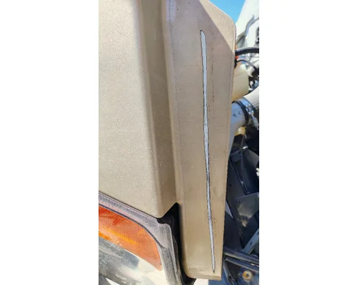 FREIGHTLINER Cascadia 125 Hood